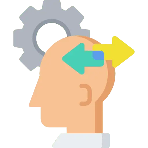 Describing The Behavior